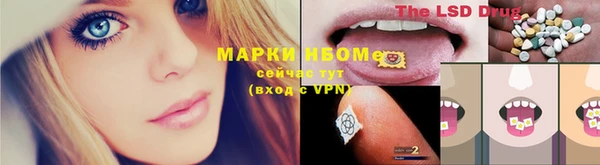ешки Инта