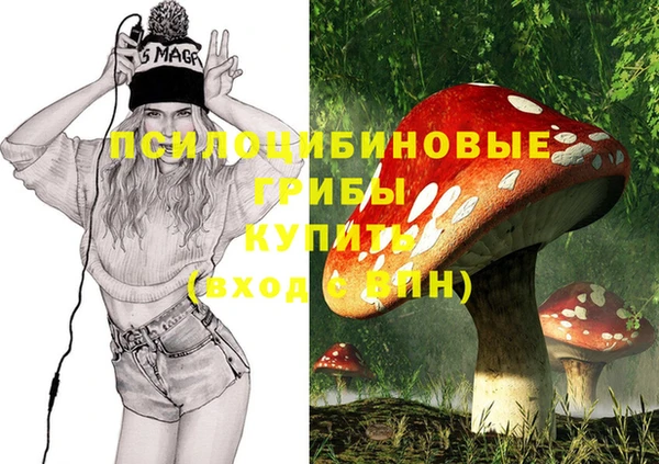 гидропоника Каменск-Шахтинский