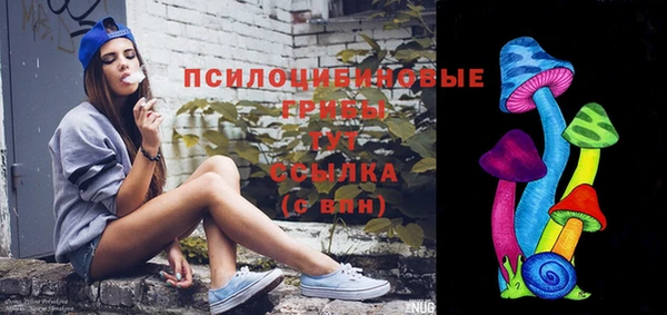 mdpv Иннополис