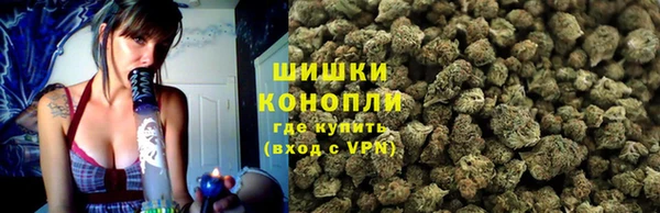 ешки Инта