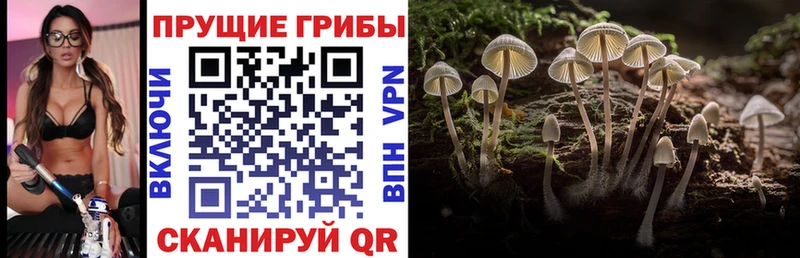Псилоцибиновые грибы Magic Shrooms  Купить где  Ярцево 